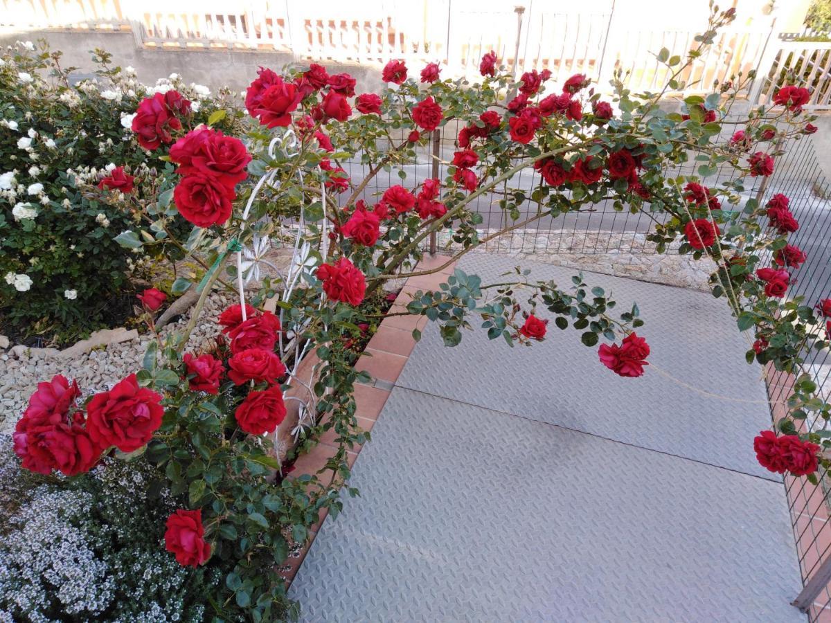 马达莱纳The Roses Garden住宿加早餐旅馆 外观 照片