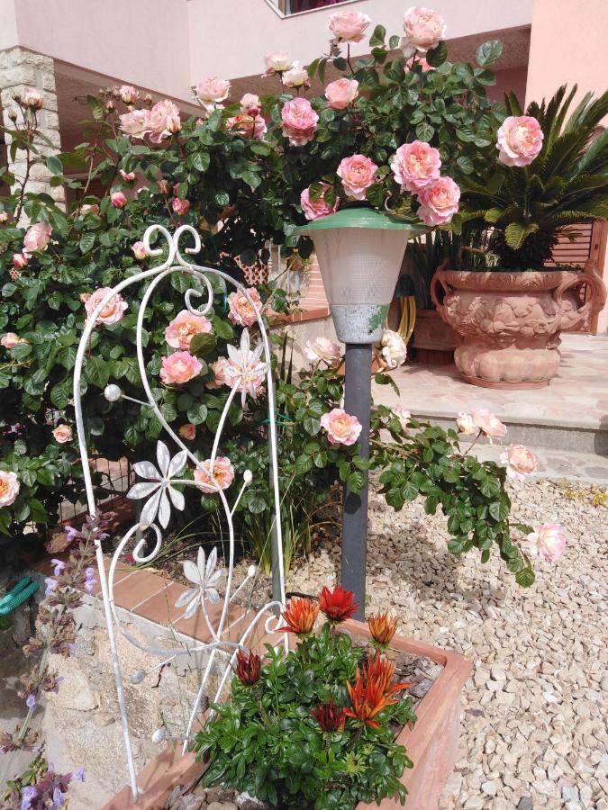 马达莱纳The Roses Garden住宿加早餐旅馆 外观 照片